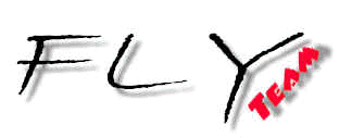 Logo Team Fly